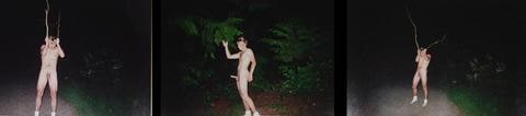 Untitled Triptych (Chris as a Deer)