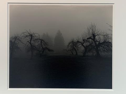 North Salem III