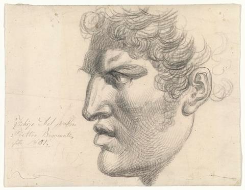 Neoclassical Ideal Male Profile