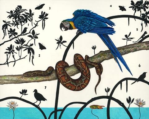 Paradise Lost 1 (Burmese Python and Blue and Yellow Macaw, Everglades)