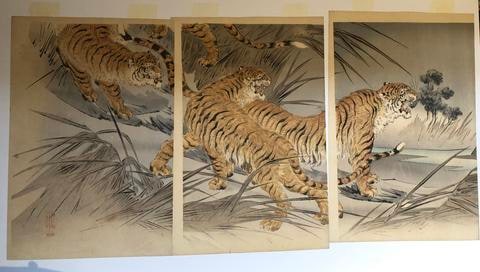 Growling Tigers