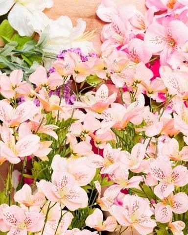 Flower Penis