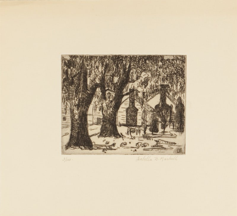 Trees and House