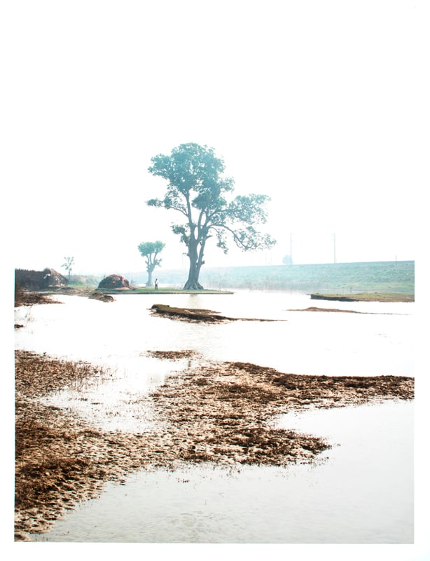Trees, human, water, earth and space