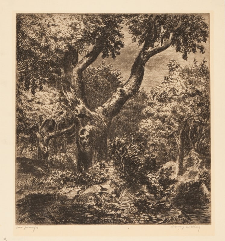 Trees by Moonlight, No. 2