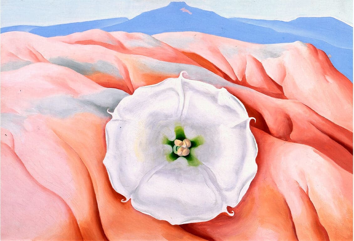 Datura and Pedernal