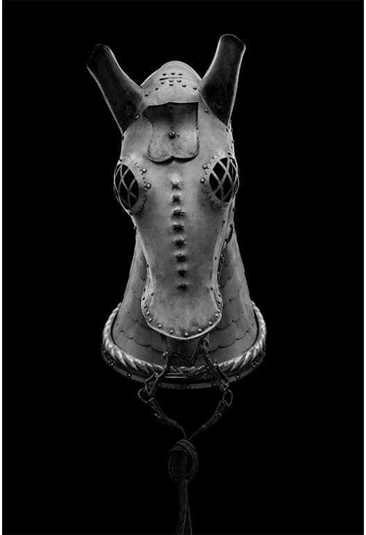 KNOT III (HORSE ARMOR)