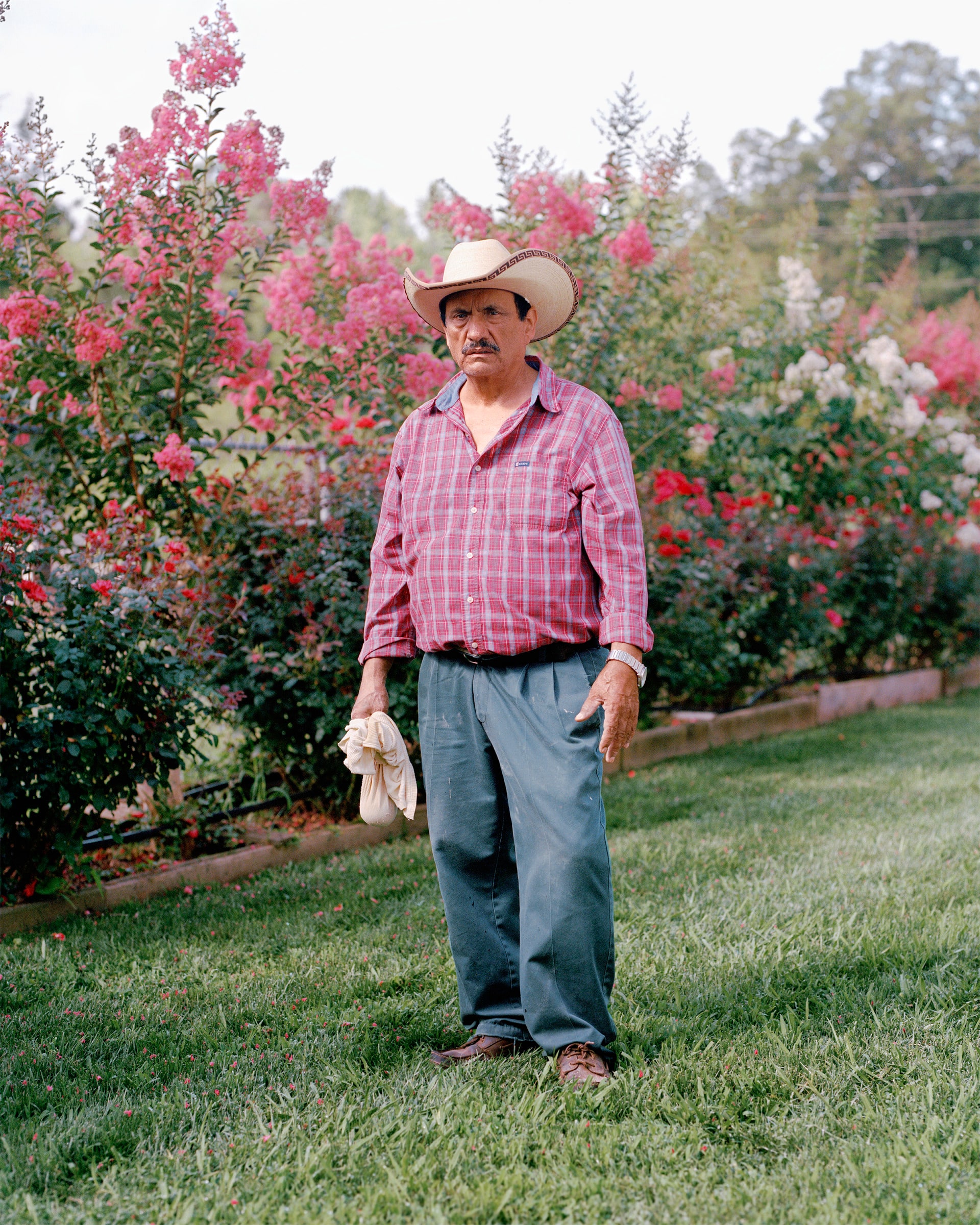 The Rose Grower