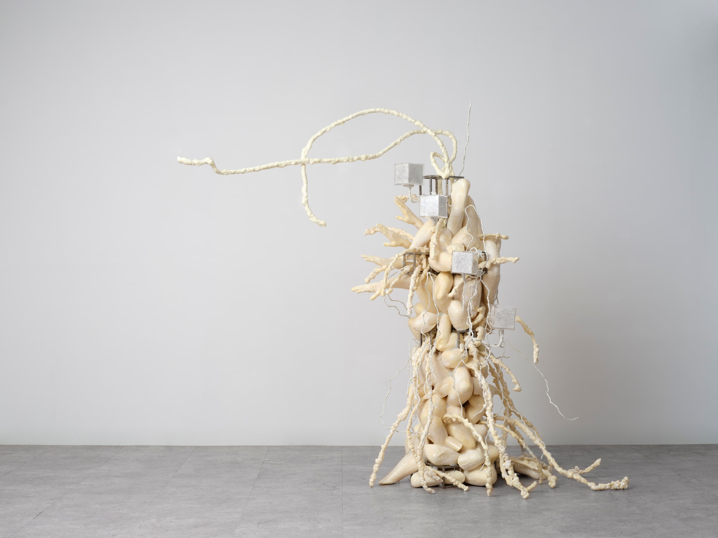 Physically: Enfolded By