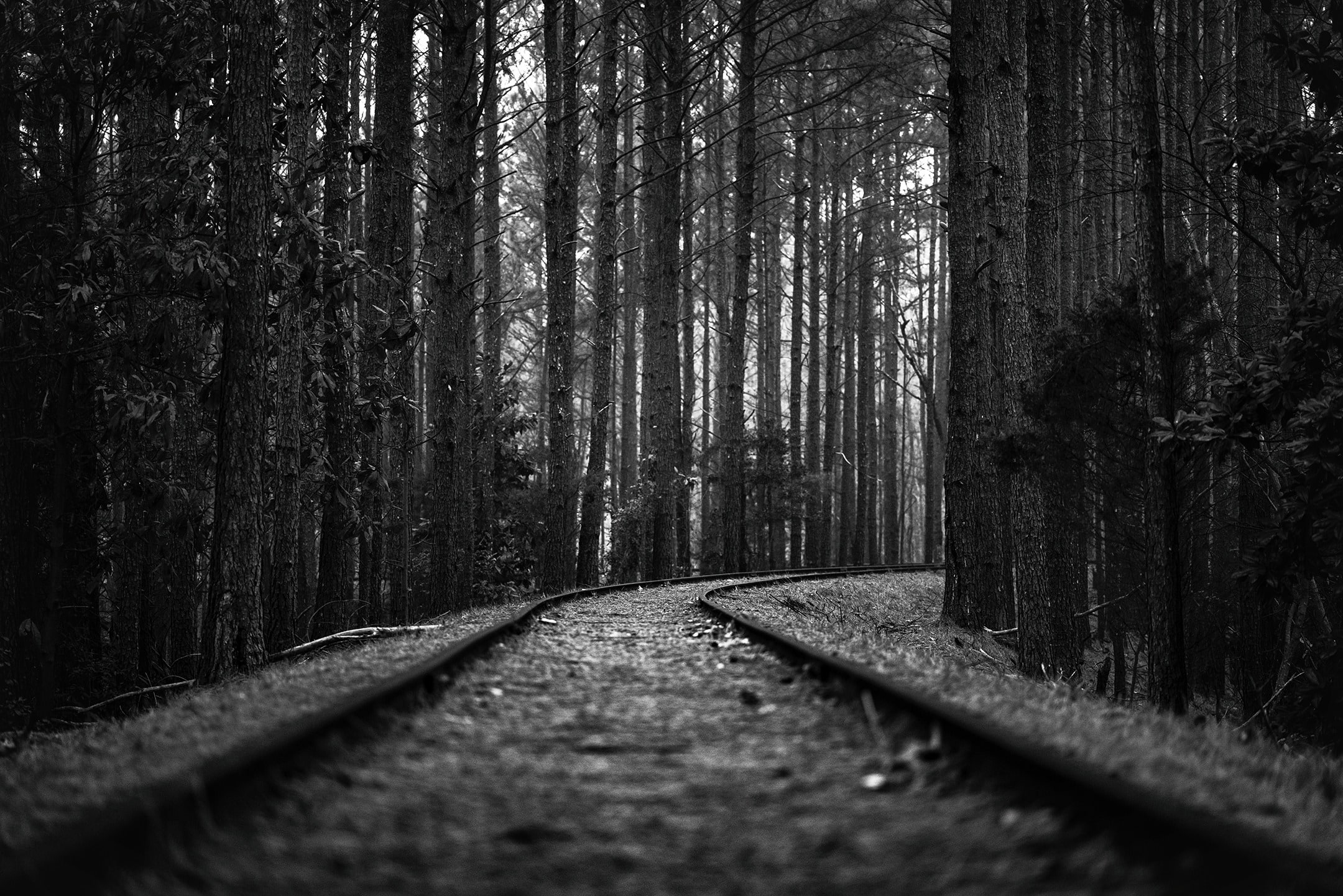 There Is a Future, from the Invisible Empire series