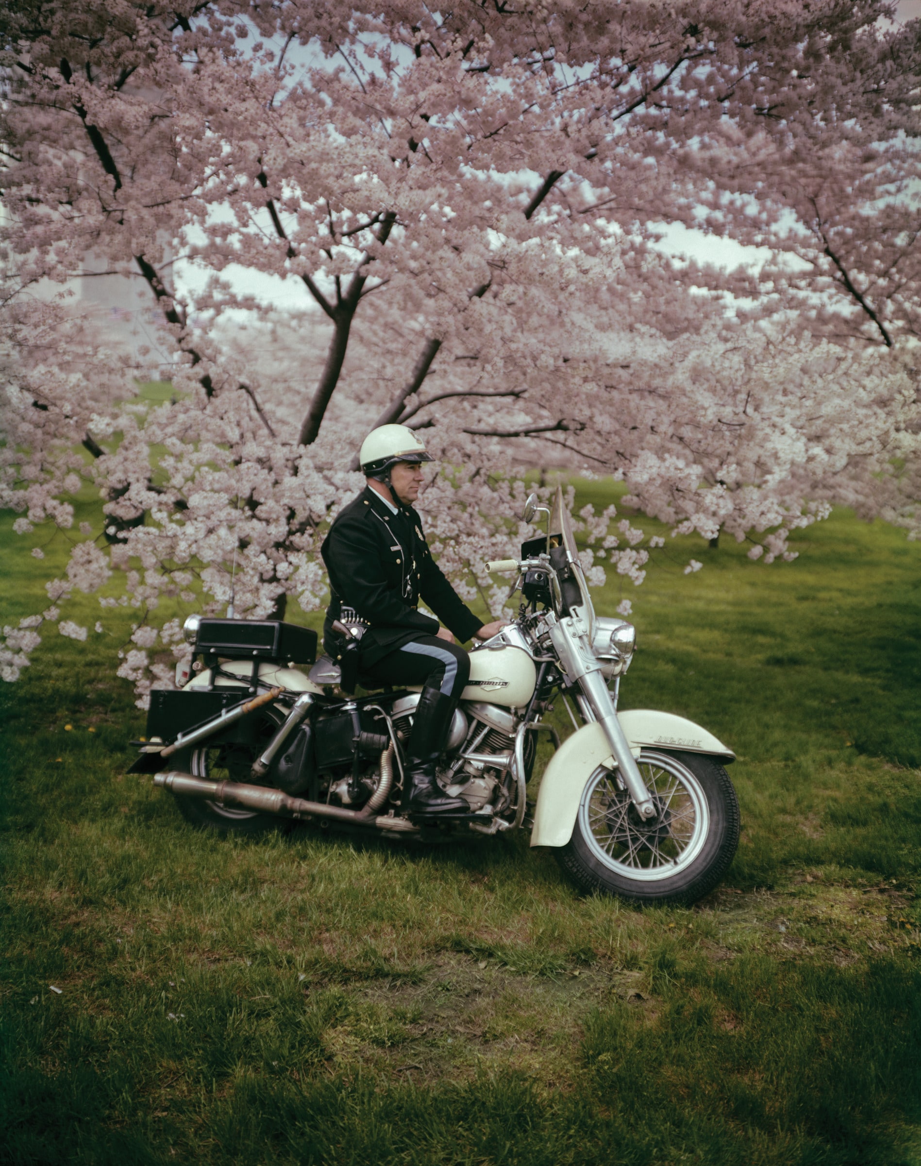 Springtime, Washington D.C.