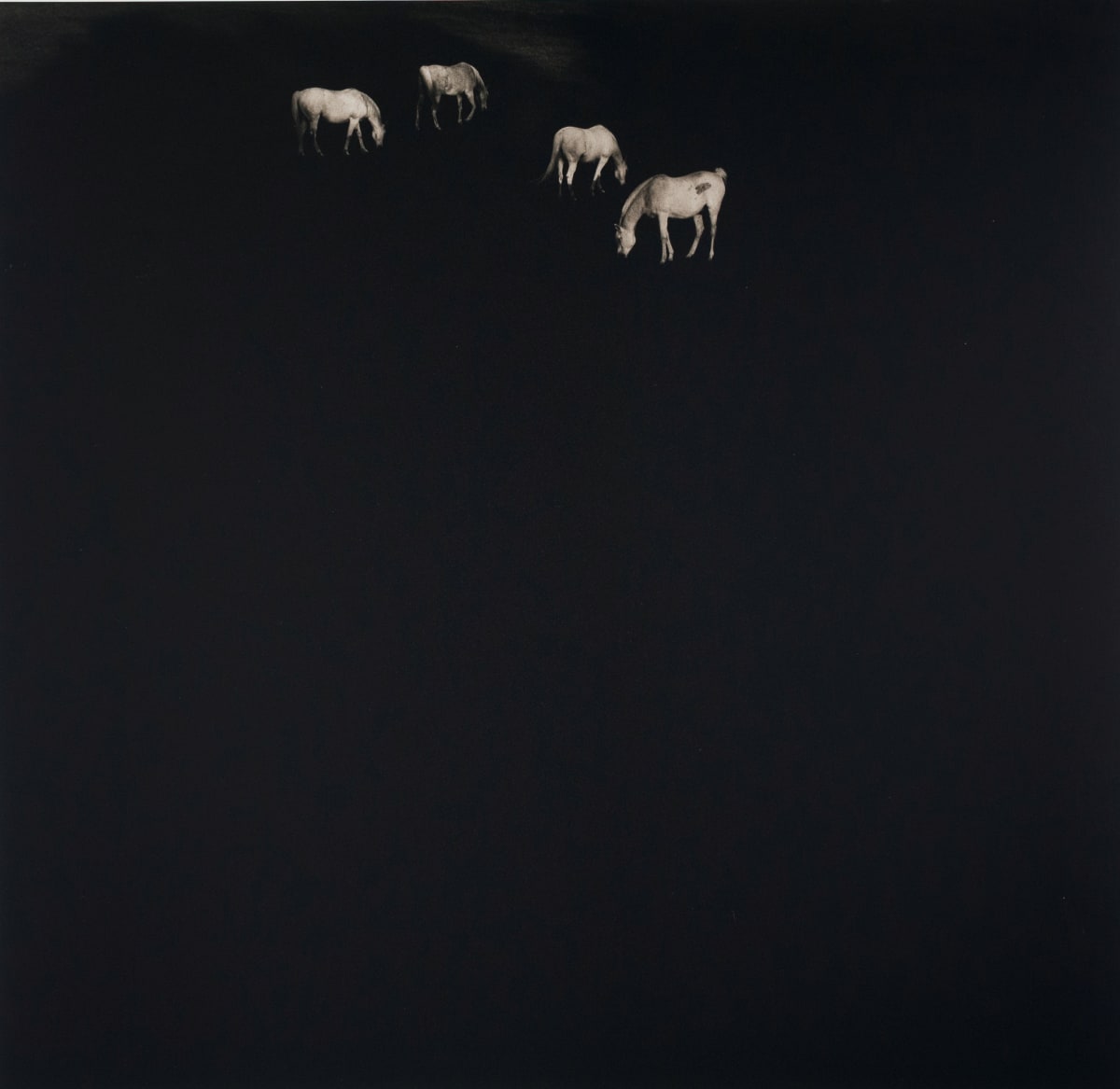 White Horses, Panola County, MS