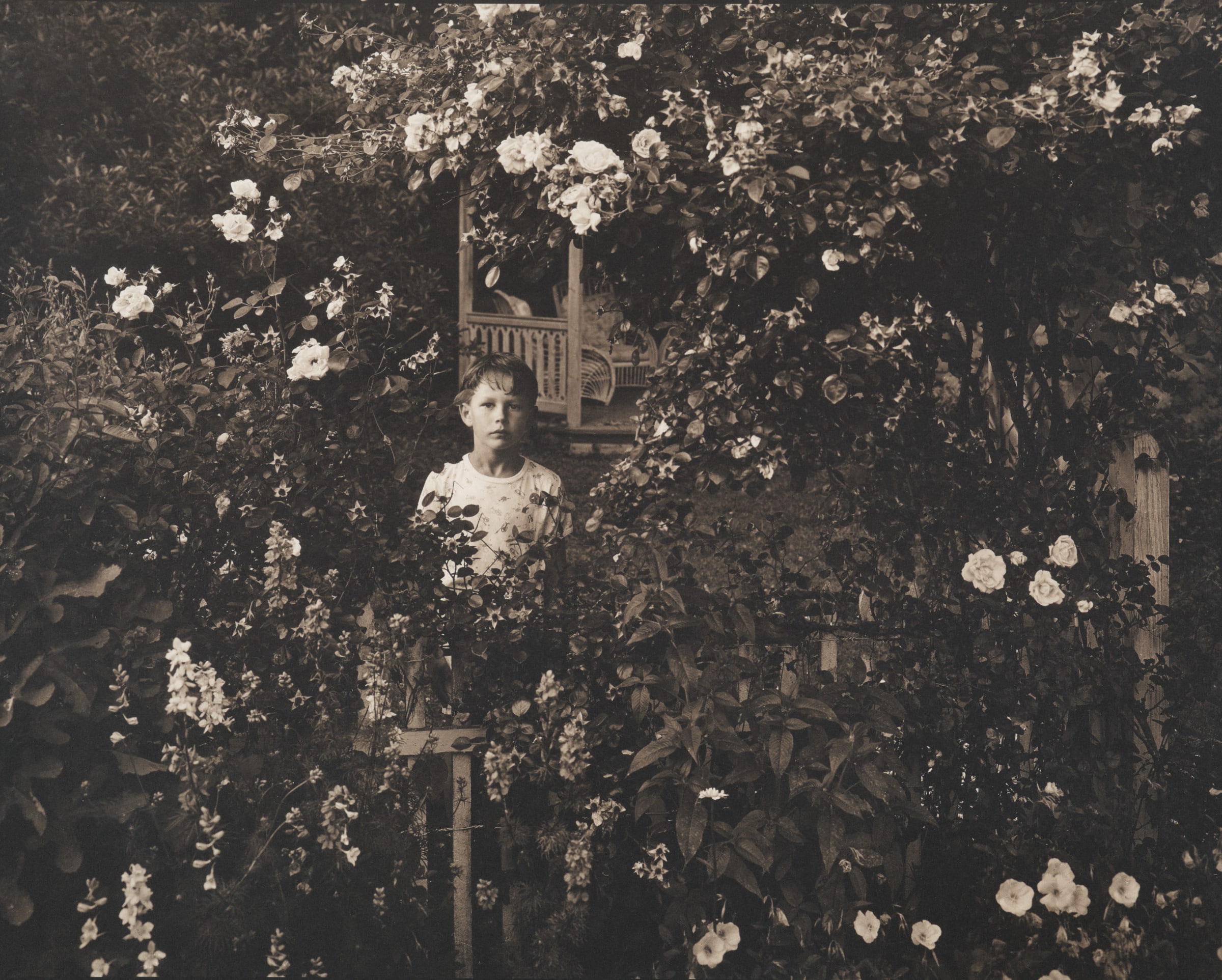 Wylie in Eve's Garden