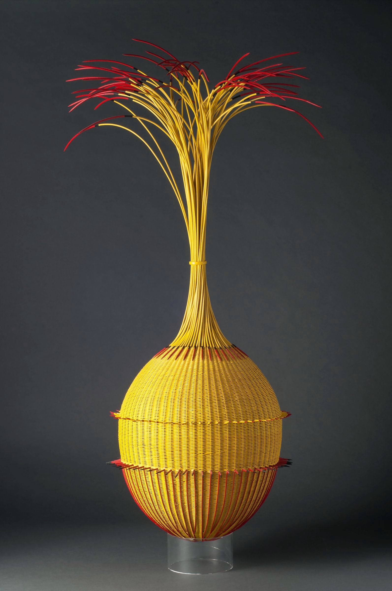 Vessel (Ciceronian Swan II)