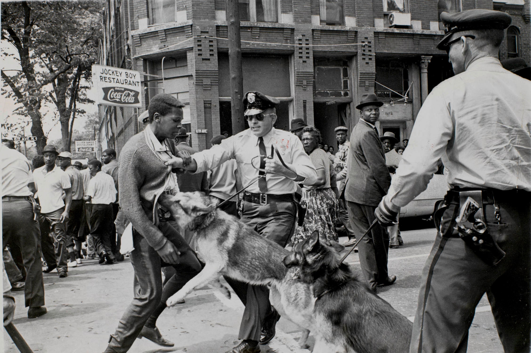 Police Dog Attack, Birmingham, Alabama