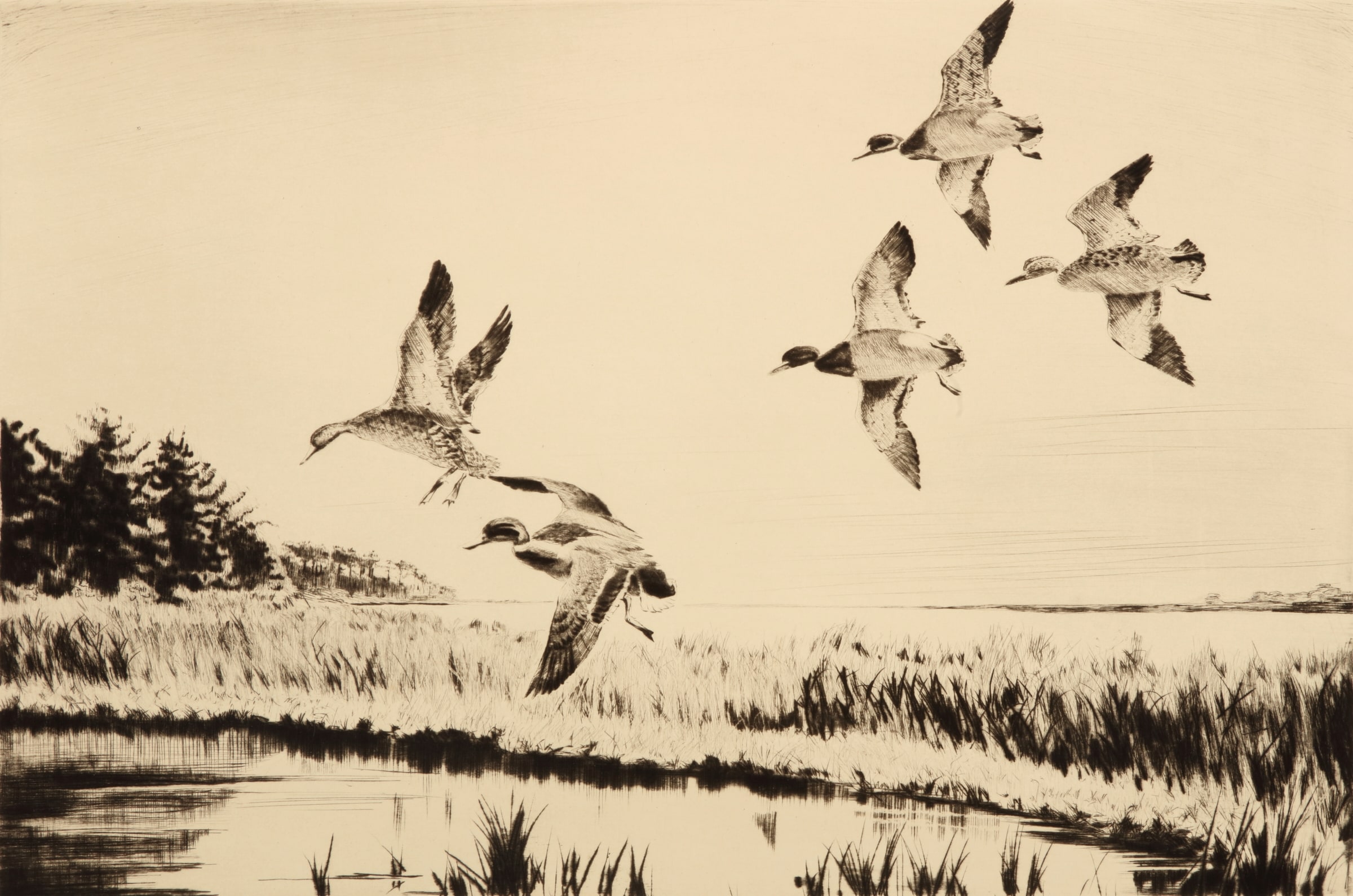 Pitching Mallards