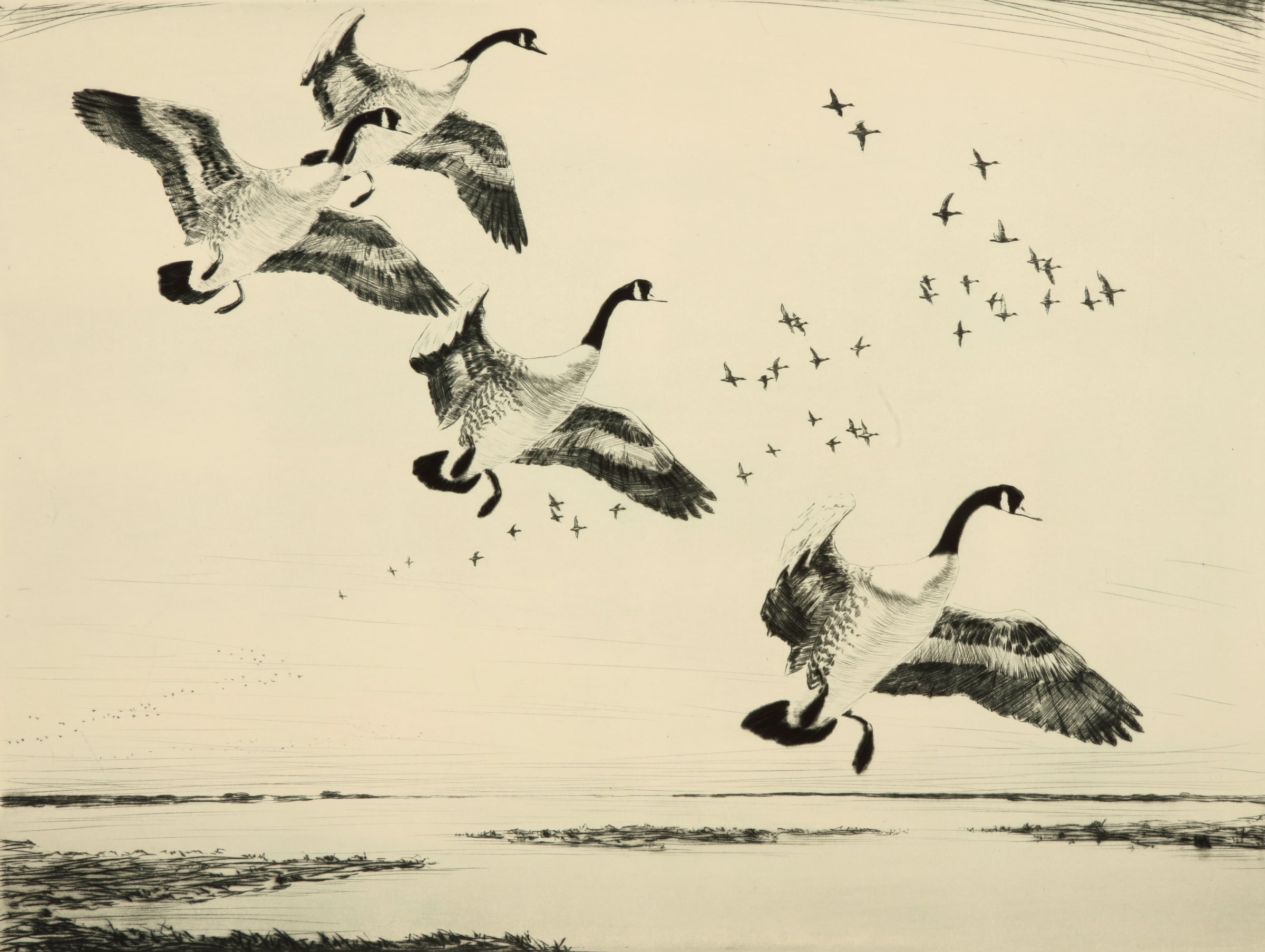 Over the Marsh
