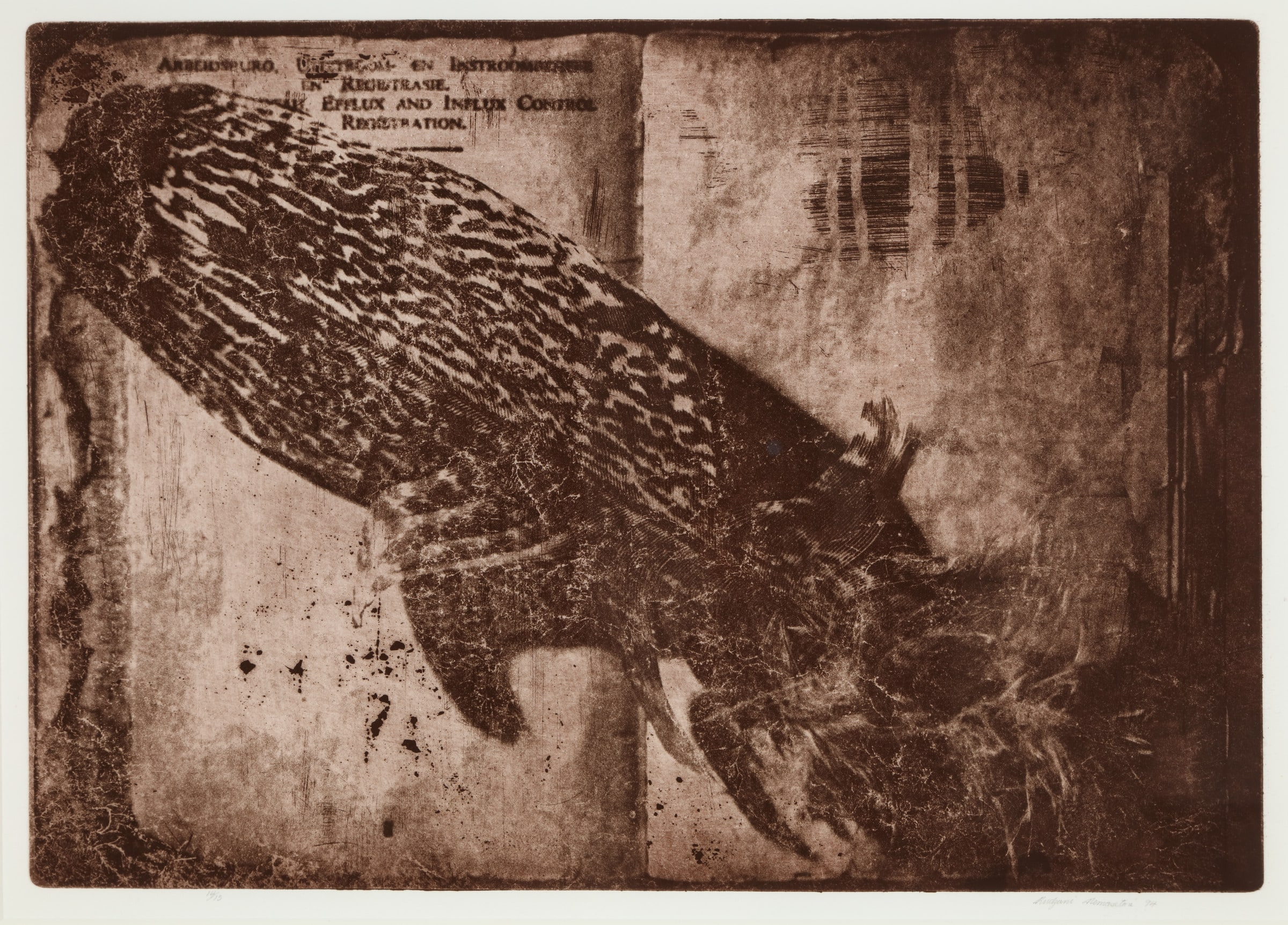 Untitled, “Feather”, from Apartheid Scrolls series