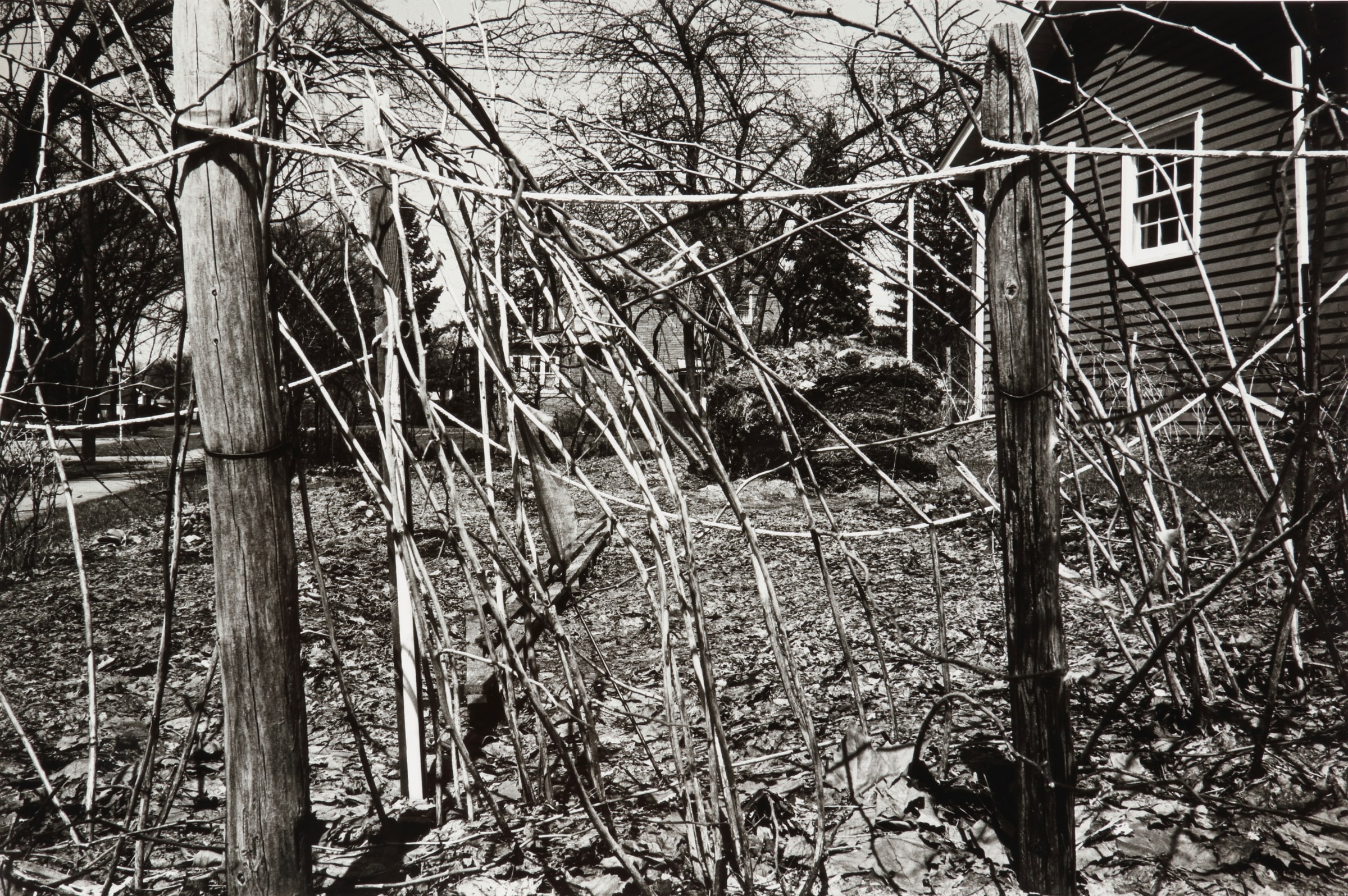 Wheaton, Illinois, 1979