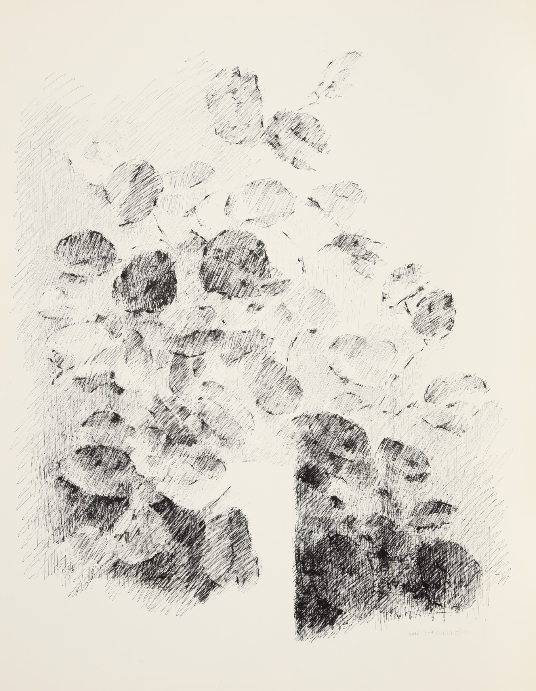 Still Life and Light