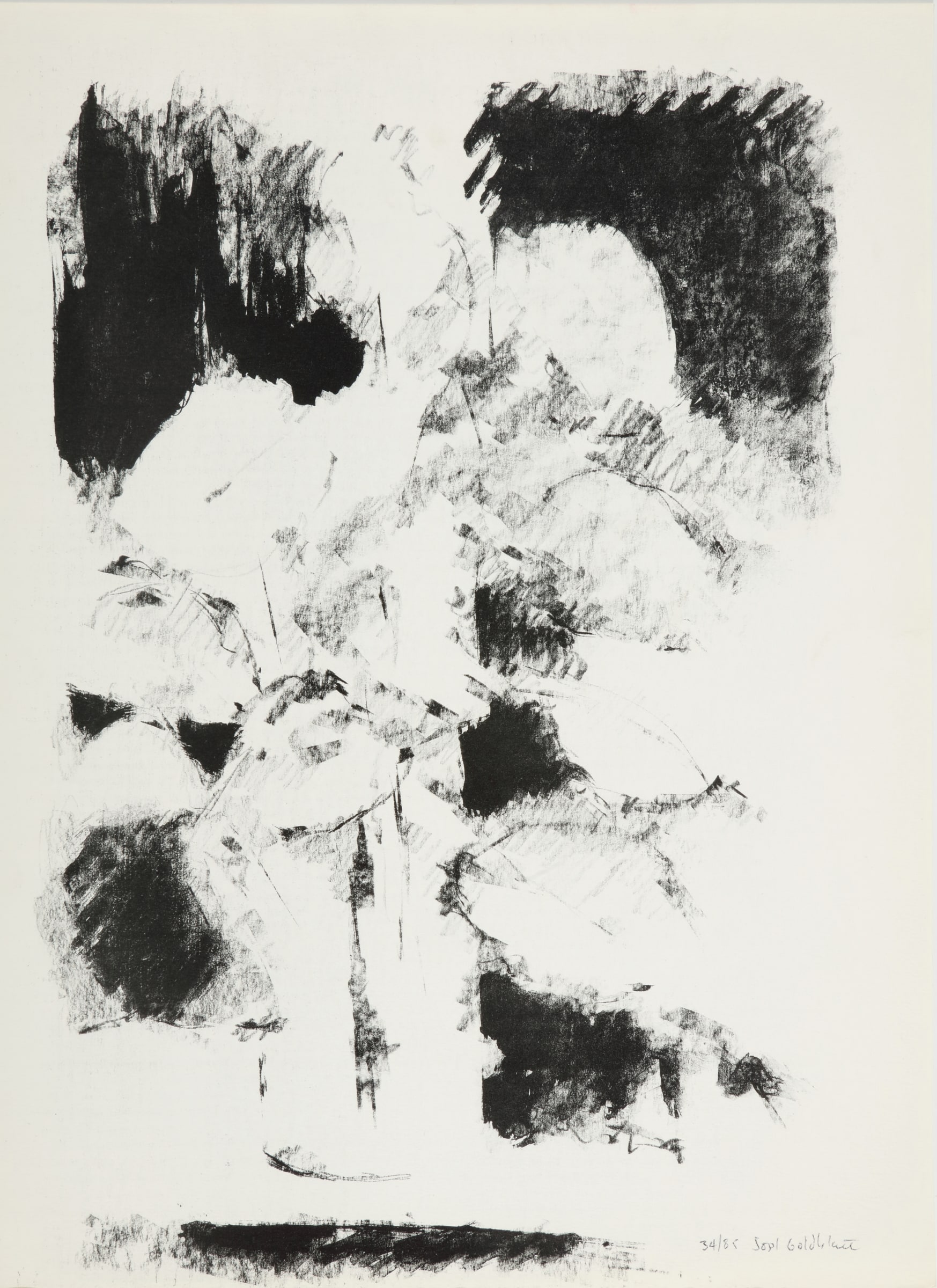 Still Life with Dark and Light