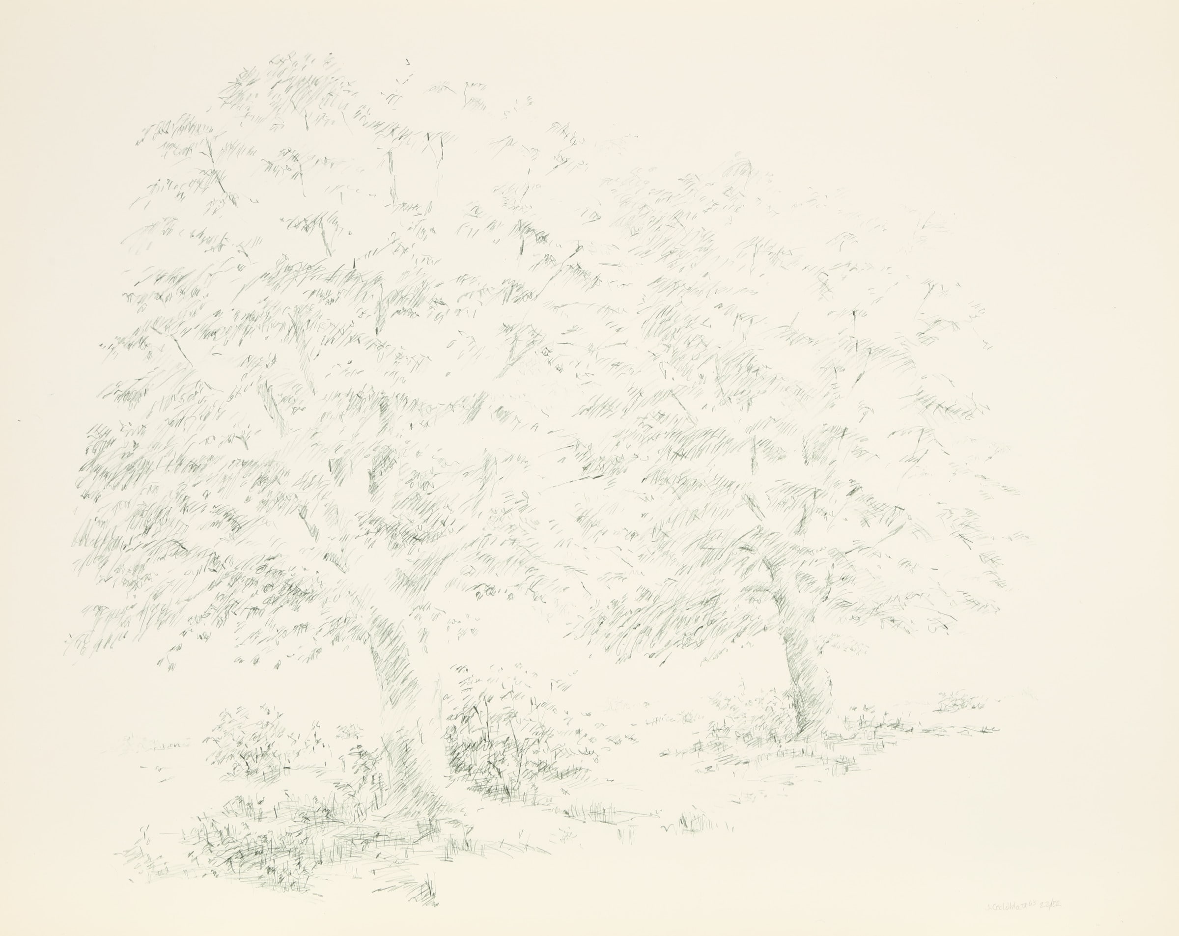 Two Trees