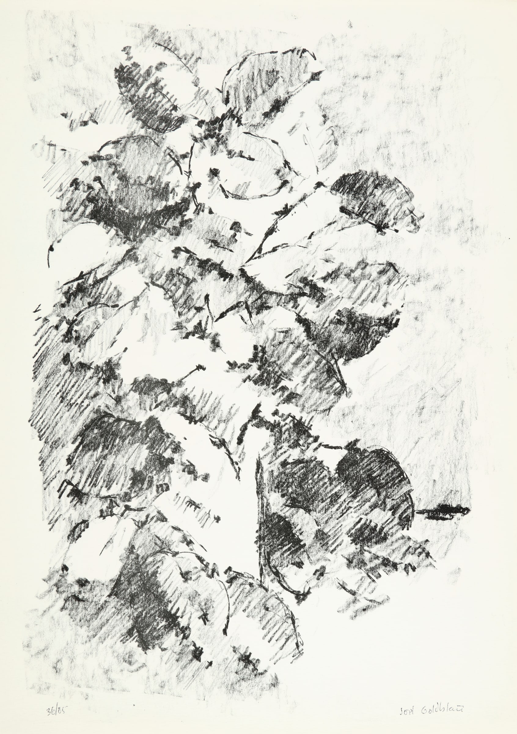 Dark Still Life