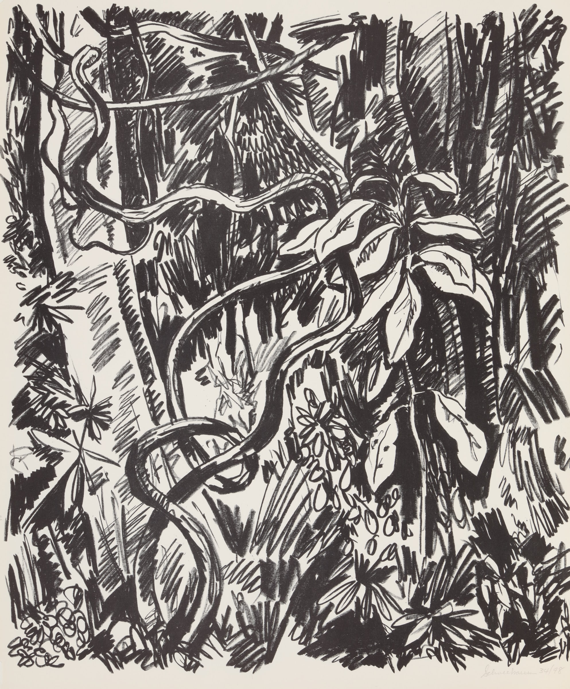 Jungle (Black)