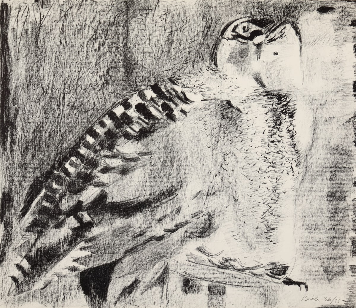 Owl