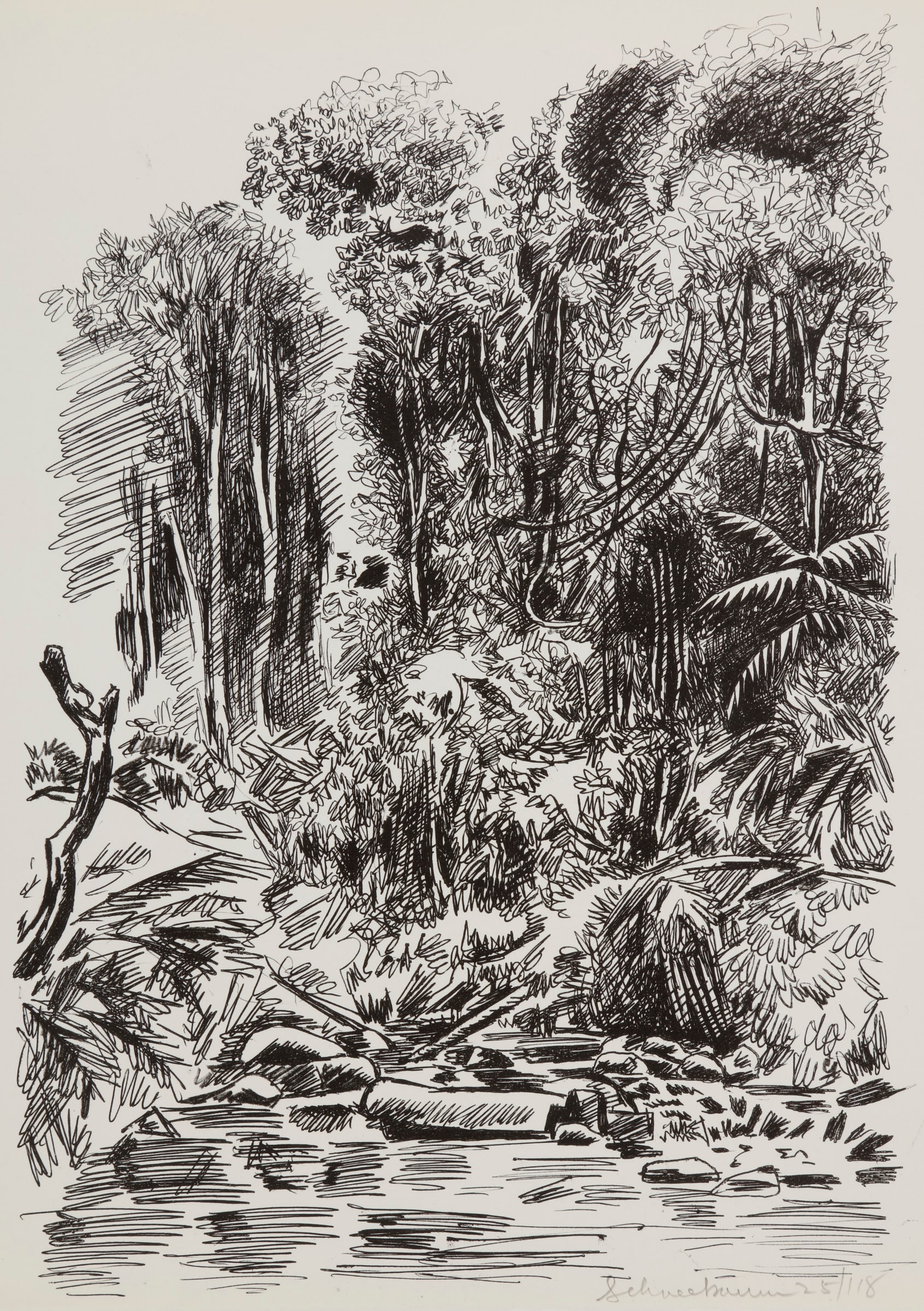 Jungle