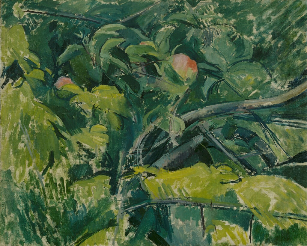 Leaves
