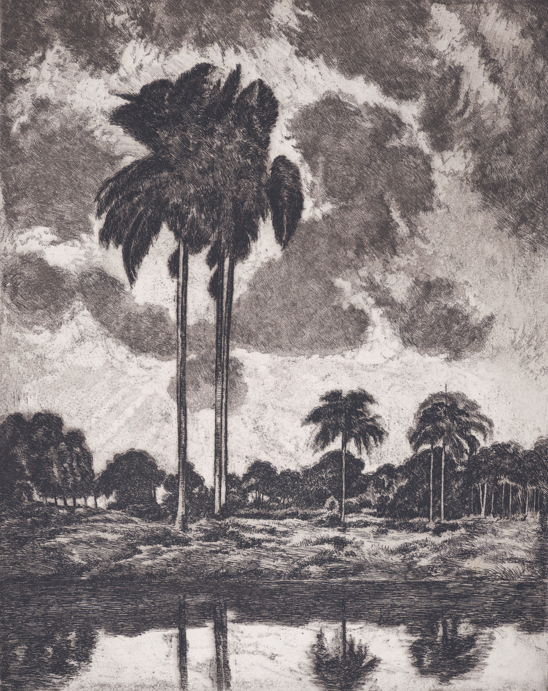 Tropic Skies