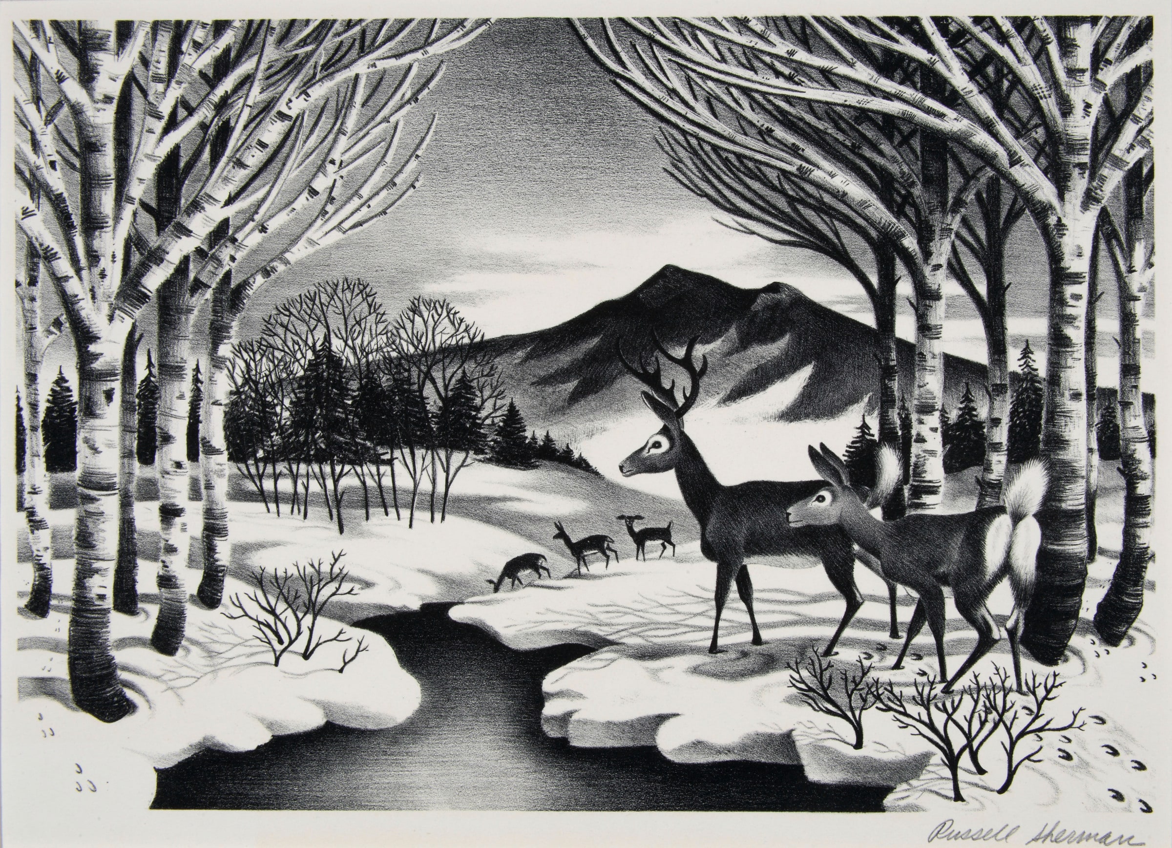 Valley in the Winter