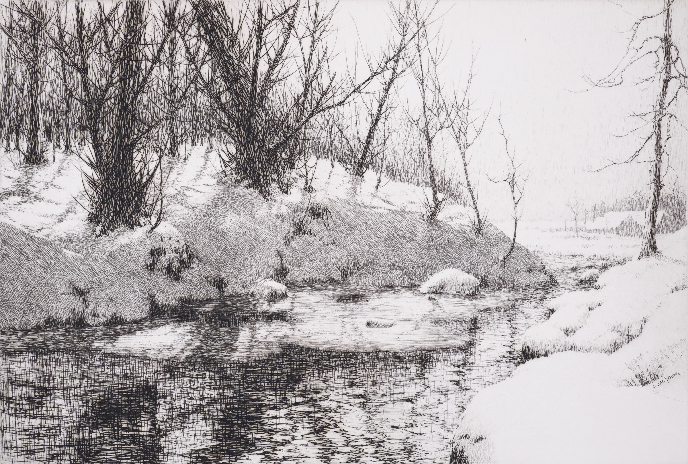 Sunny Brook
