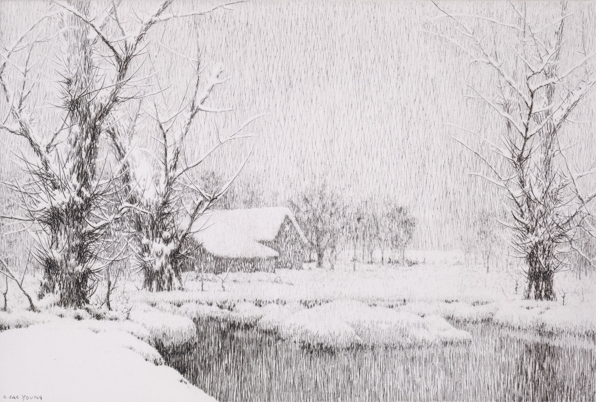 Feathering the Willows
