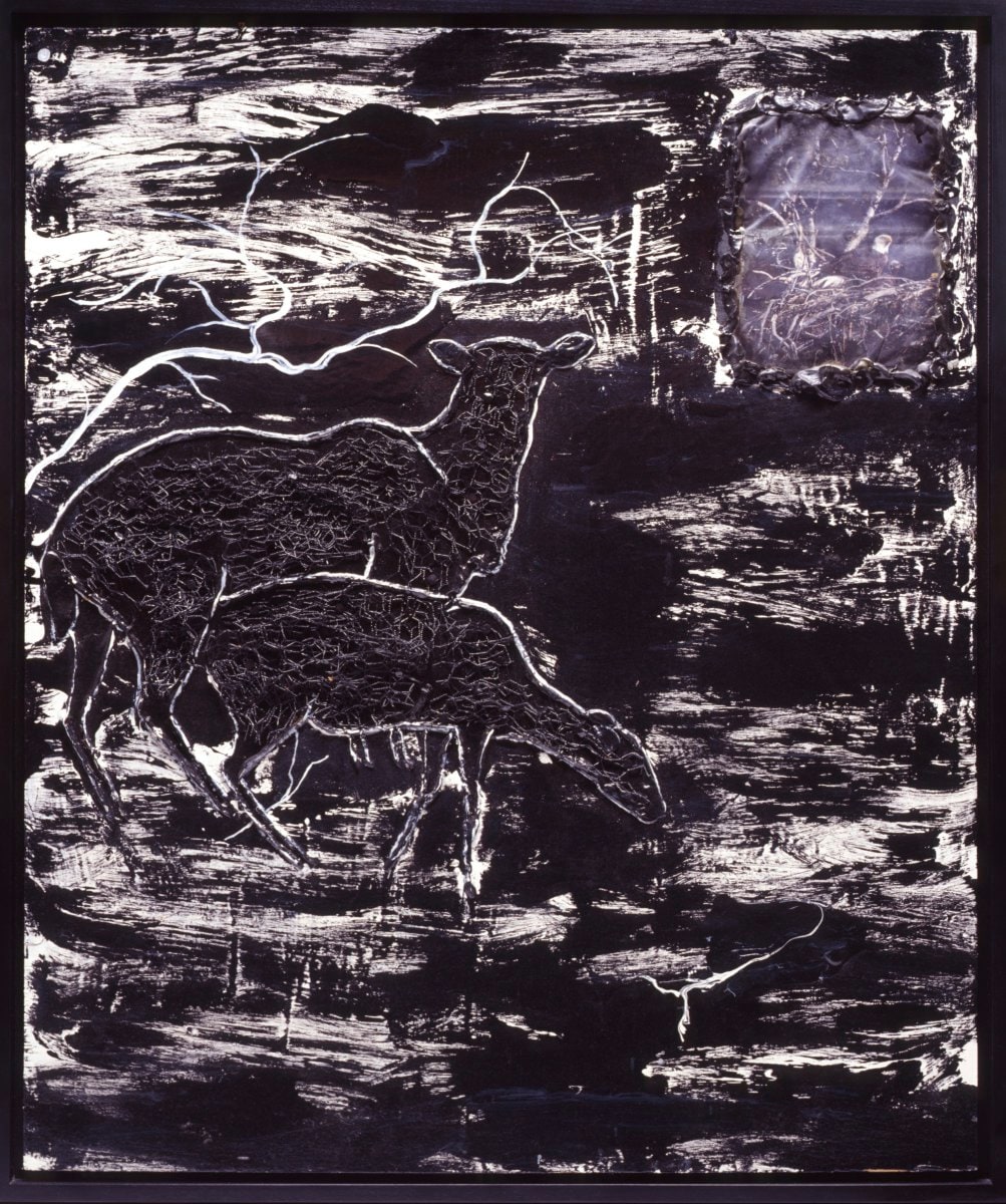 Cover of Night