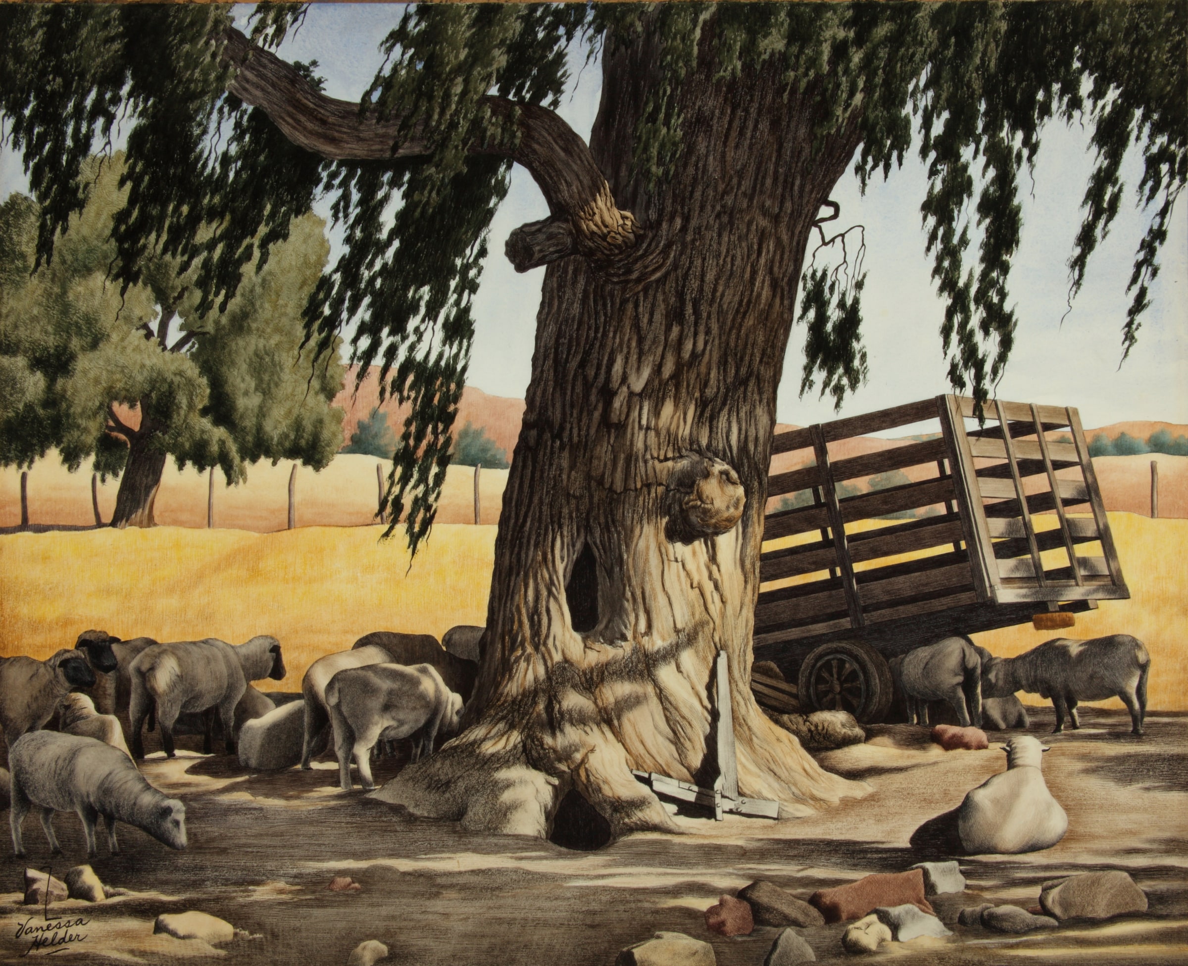 Siesta