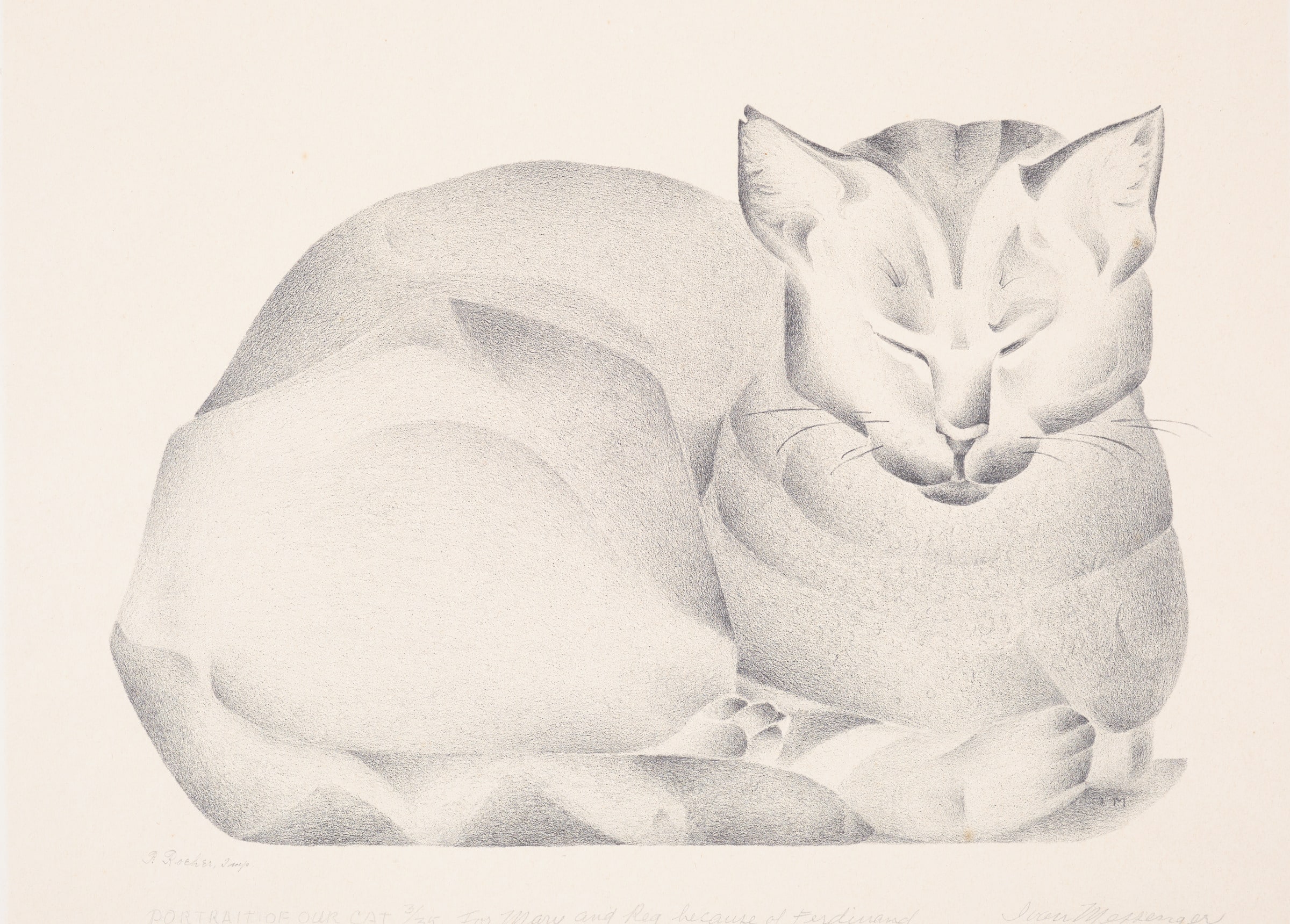 Portrait of Our Cat