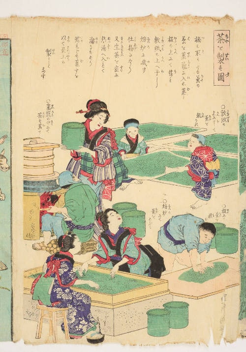 Making Tea