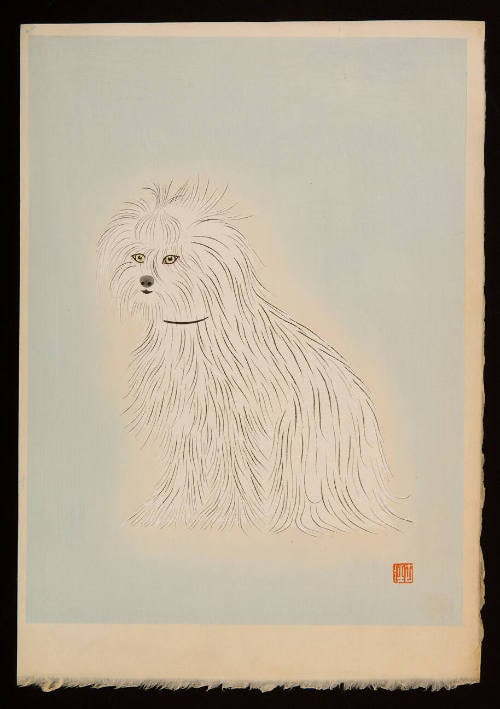 Seated Maltese