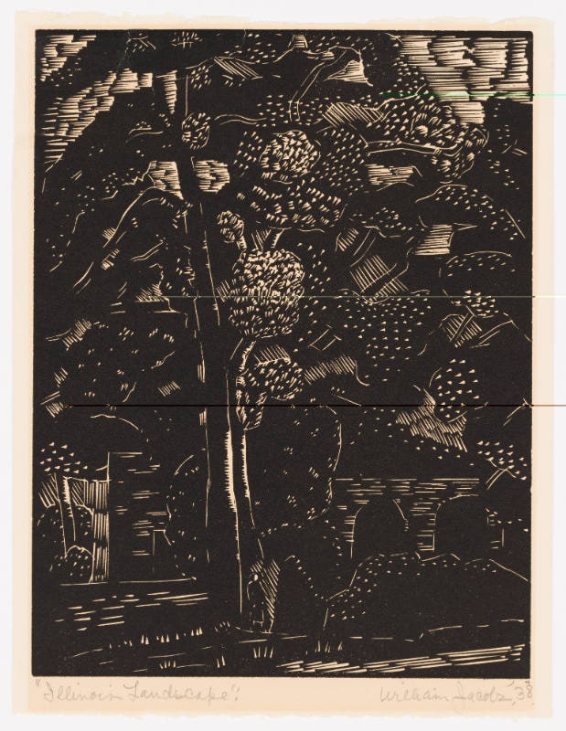 Illinois Landscape