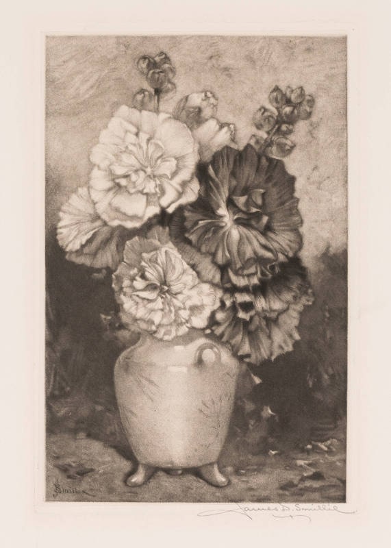 Hollyhocks