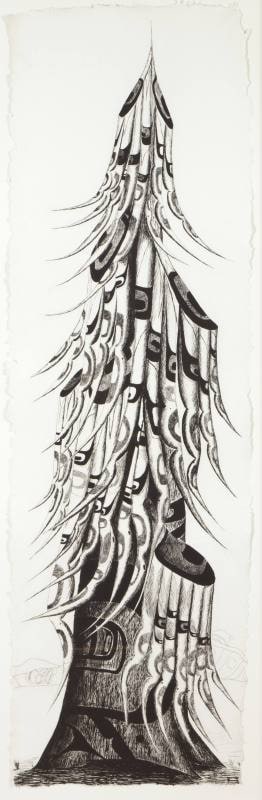 The Last Old Growth Spirit Tree