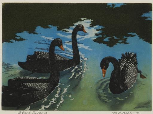 Black Swans