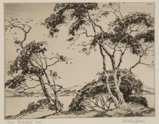 Wind Swept Trees