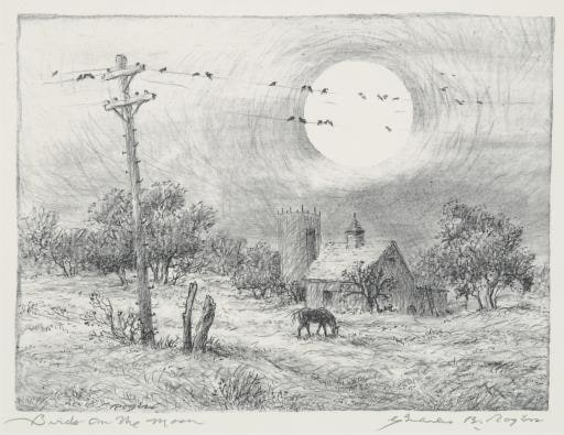 Birds on the Moon
