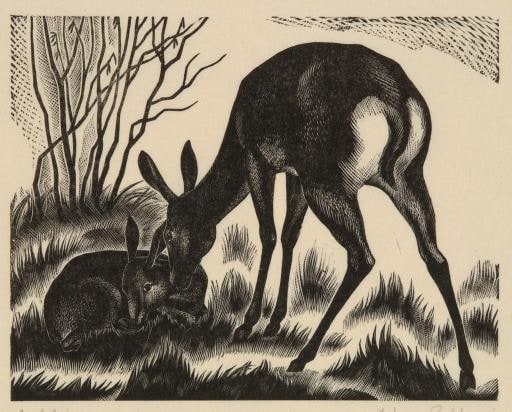Antelope and Young