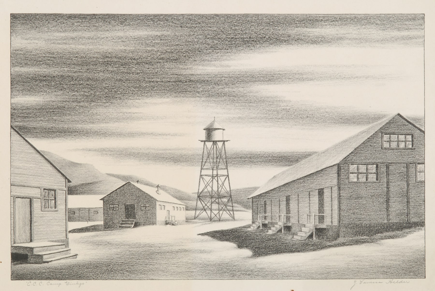 C.C.C. Camp Gingko