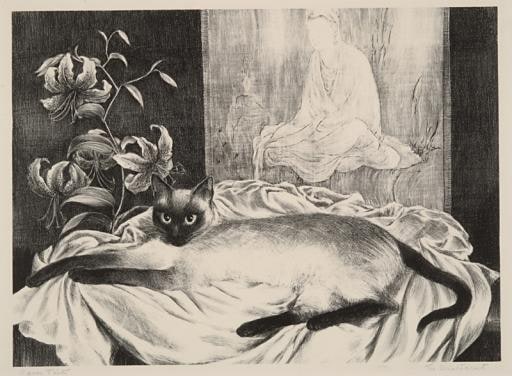 The Aristocat