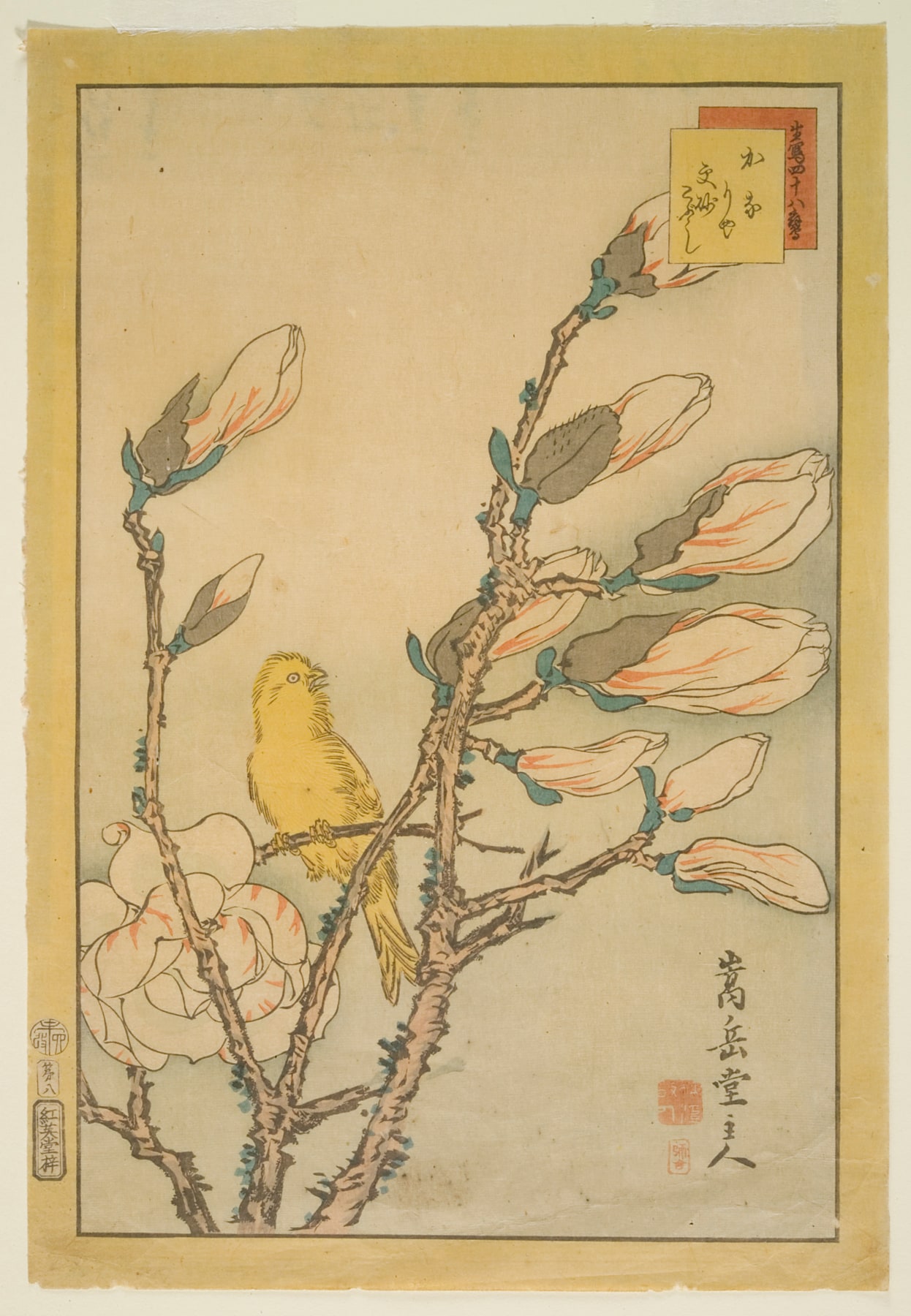 Kanariya, Takasago Kobushi (No. 8, Canary & magnolia)